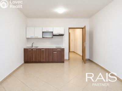 Sale apartment 1+KK Brno, Svitavská č. 3