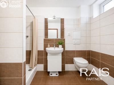Sale apartment 1+KK Brno, Svitavská č. 4