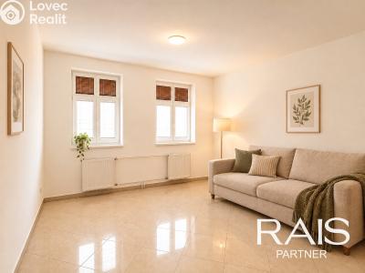 Sale apartment 1+KK Brno, Svitavská č. 5