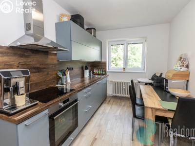 Аренда квартиры 2+1 Zruč nad Sázavou, Na Výsluní č. 7