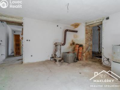 Sale family house Zásmuky č. 15