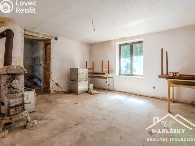 Sale family house Zásmuky č. 17