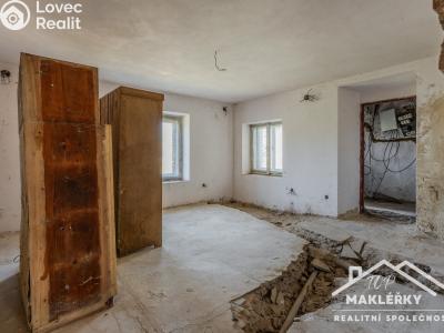 Sale family house Zásmuky č. 18