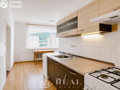Продажа квартиры 2+1 Krupka, Karla Čapka 258 č. 2