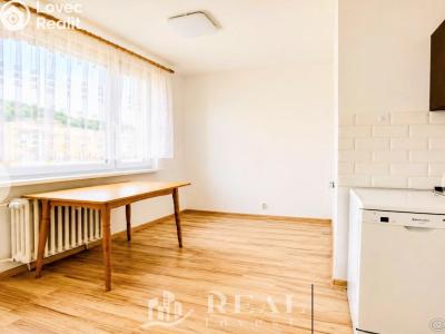 Продажа квартиры 2+1 Krupka, Karla Čapka 258 č. 3