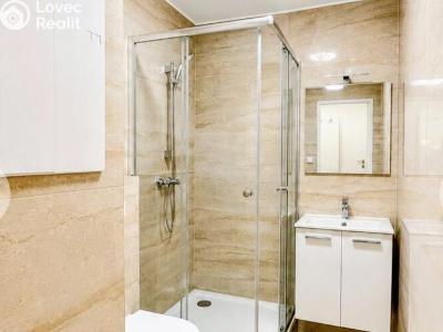 Продажа квартиры 2+1 Krupka, Karla Čapka 258 č. 4