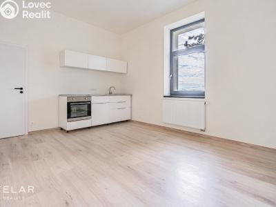 Sale apartment 1+KK Hradec nad Moravicí č. 4
