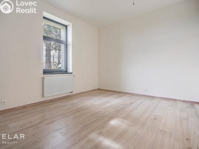 Sale apartment 1+KK Hradec nad Moravicí č. 5