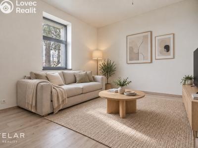 Sale apartment 1+KK Hradec nad Moravicí č. 6