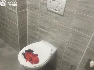 Оренда квартири 1+KK Moravské Budějovice č. 3