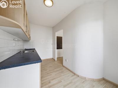 Sale apartment 1+1 Olomouc, Slavonínská č. 2
