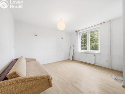 Sale apartment 1+1 Olomouc, Slavonínská č. 3