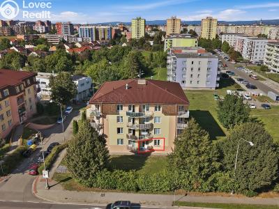 Sale apartment 1+1 Olomouc, Slavonínská č. 10