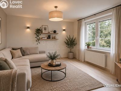 Sale apartment 1+1 Olomouc, Slavonínská č. 11