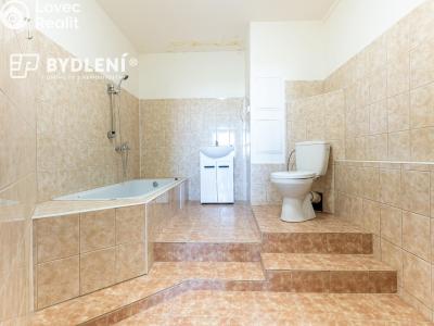 Pronájem bytu 3+1 Most, Javorová 3104 č. 3
