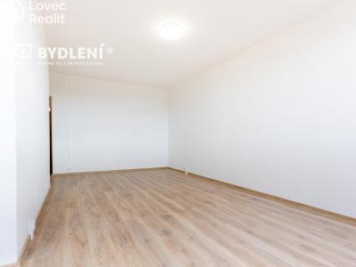 Pronájem bytu 3+1 Most, Javorová 3104 č. 19