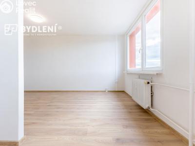Pronájem bytu 3+1 Most, Javorová 3104 č. 20