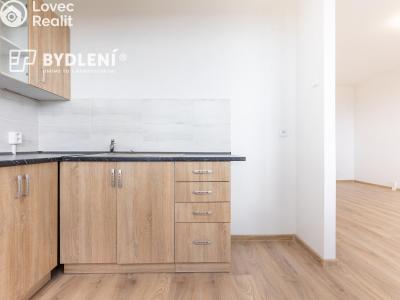 Pronájem bytu 3+1 Most, Javorová 3104 č. 22
