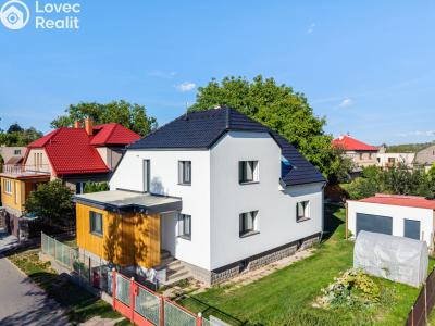 Sale family house Prosetín č. 1