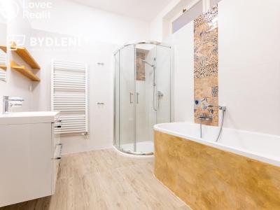 Pronájem bytu 5+1 Teplice, Doubravská č. 8