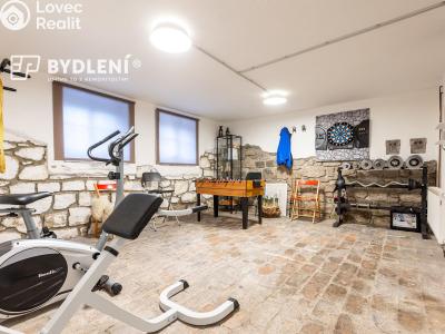 Pronájem bytu 5+1 Teplice, Doubravská č. 14