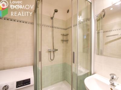 Rent apartment 2+1 Praha, Hyacintová č. 6