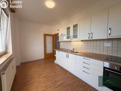 Pronájem bytu 2+1 Plzeň, Zelená č. 18