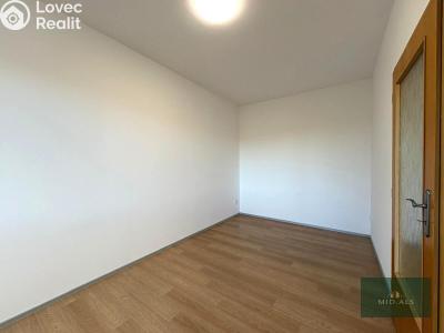 Pronájem bytu 2+1 Plzeň, Zelená č. 10