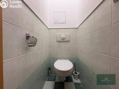 Pronájem bytu 2+1 Plzeň, Zelená č. 15