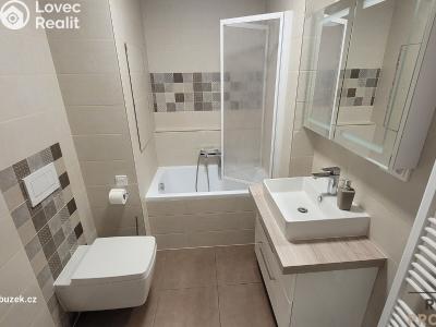 Sale apartment 2+1 Kroměříž č. 2