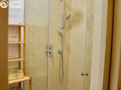 Rent apartment 2+KK Praha, Mánesova č. 3