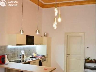 Rent apartment 2+KK Praha, Mánesova č. 1