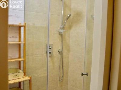 Rent apartment 2+KK Praha, Mánesova č. 7