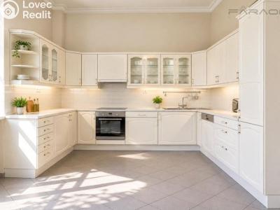 Rent apartment 5+1 Praha, Na Míčánce č. 16