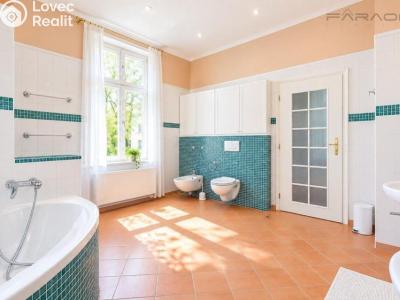 Rent apartment 5+1 Praha, Na Míčánce č. 19