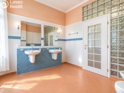 Rent apartment 5+1 Praha, Na Míčánce č. 22