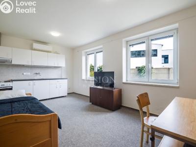 Sale apartment 1+KK Jindřichův Hradec, Jarošovská č. 2