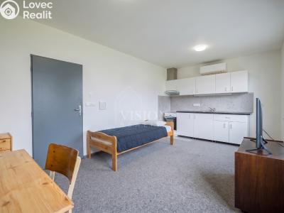 Sale apartment 1+KK Jindřichův Hradec, Jarošovská č. 3