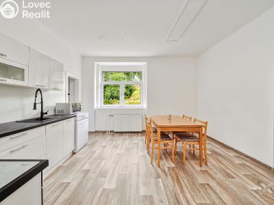 Продажа многогенного дом Vejprty, náměstí T. G. Masaryka č. 14