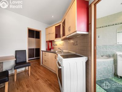 Sale apartment 2+1 Chodov, Zahradní č. 4