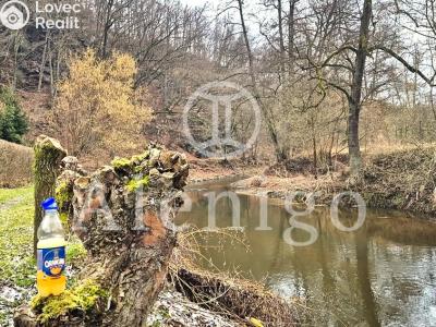 Sale hut Český Šternberk č. 14