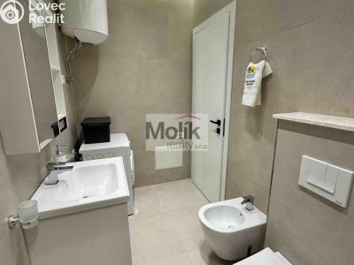 Sale apartment 1+KK Golem č. 10