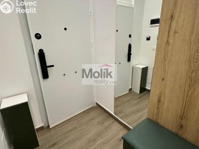 Sale apartment 1+KK Golem č. 4