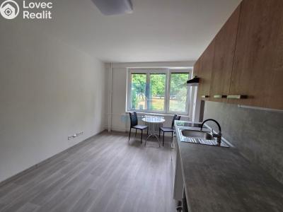 Pronájem bytu 1+KK Plzeň, Táborská č. 3