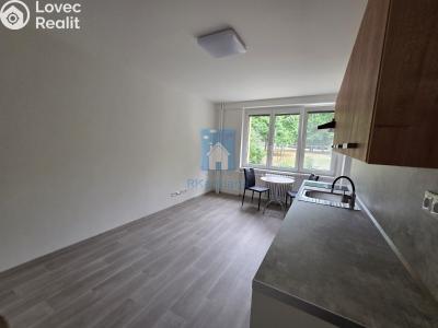 Pronájem bytu 1+KK Plzeň, Táborská č. 4