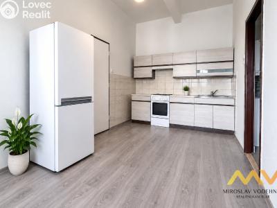 Rent apartment 3+1 Hradec Králové, náměstí 5. května č. 1