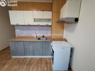 Rent apartment 2+1 Chomutov, Holešická 4740 č. 7