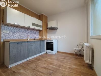 Rent apartment 2+1 Chomutov, Holešická 4740 č. 4