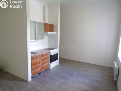 Rent apartment 1+KK Nový Bor, B. Egermanna č. 3