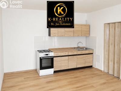 Sale apartment 1+1 Ústí nad Labem, U Městských domů č. 1
